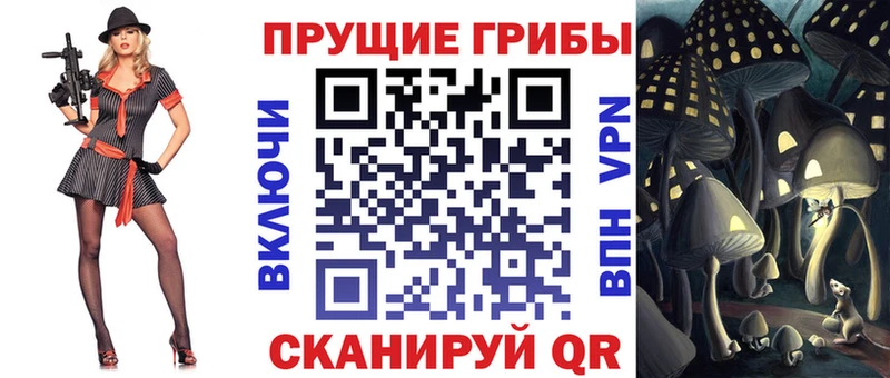 Галлюциногенные грибы Psilocybe  как найти закладки  Чебаркуль 