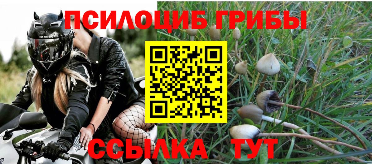 хочу   Псилоцибиновые грибы Psilocybe  Вход с VPN  Чебаркуль 