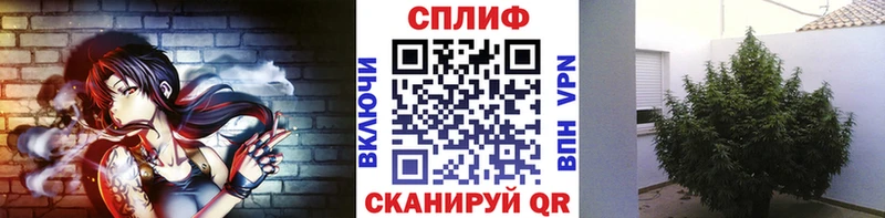 купить наркоту  Чебаркуль  Шишки марихуана MAZAR 